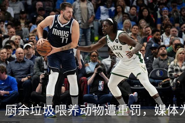 厨余垃圾喂养动物遭重罚，媒体为何过度解读？